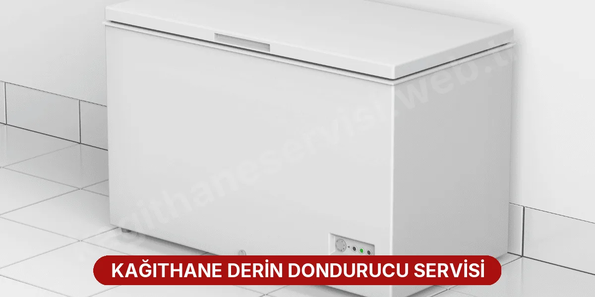Kağıthane Derin Dondurucu Servisi