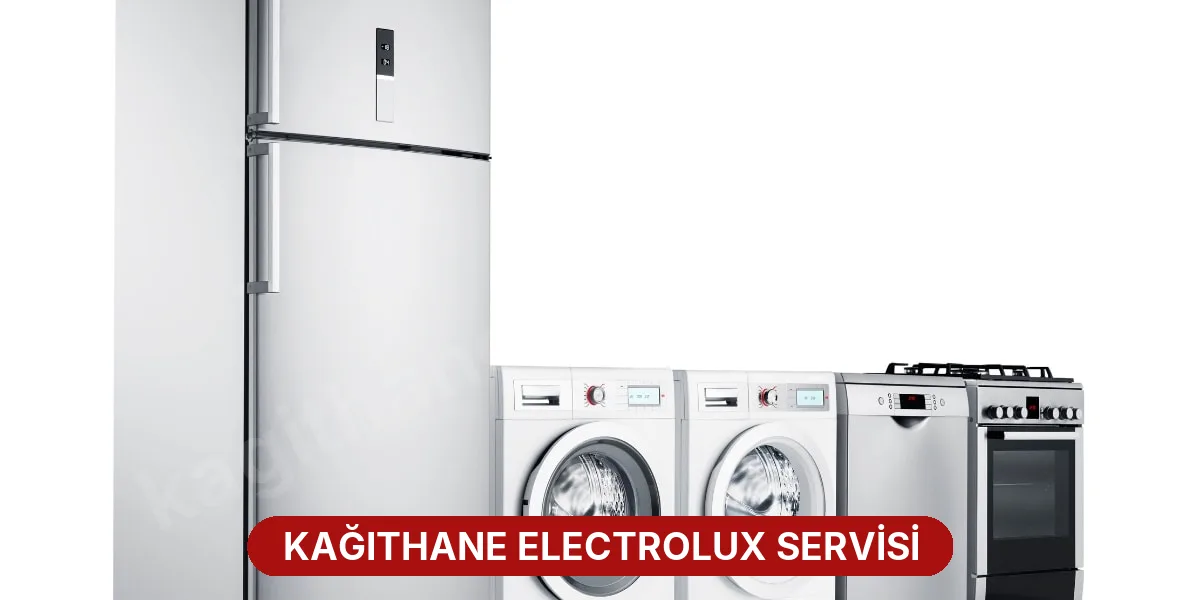 Kağıthane Electrolux Servisi