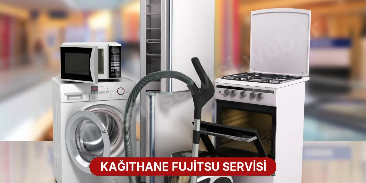 Kağıthane Fujitsu Servisi