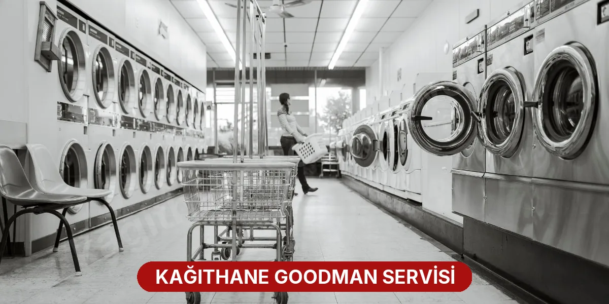 Kağıthane Goodman Servisi