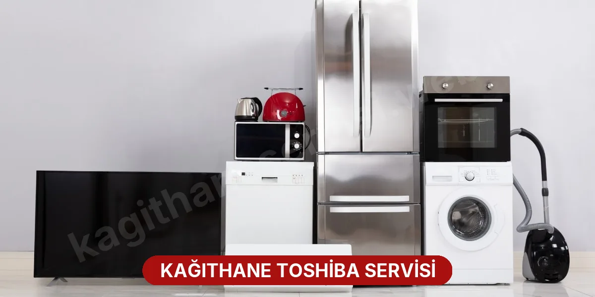Kağıthane Toshiba Servisi